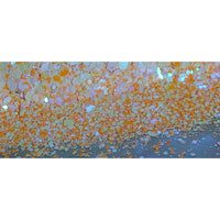 BG017 Creamsicle  Chunky Glitter