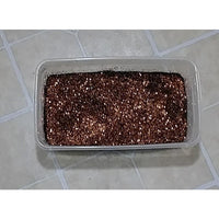 BG011 Chocolate Brownies Fine Glitter