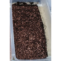 BG011 Chocolate Brownies Fine Glitter