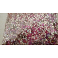 BG020 Dancing Stars Chunky Glitter