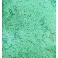 BG071 Neon Green